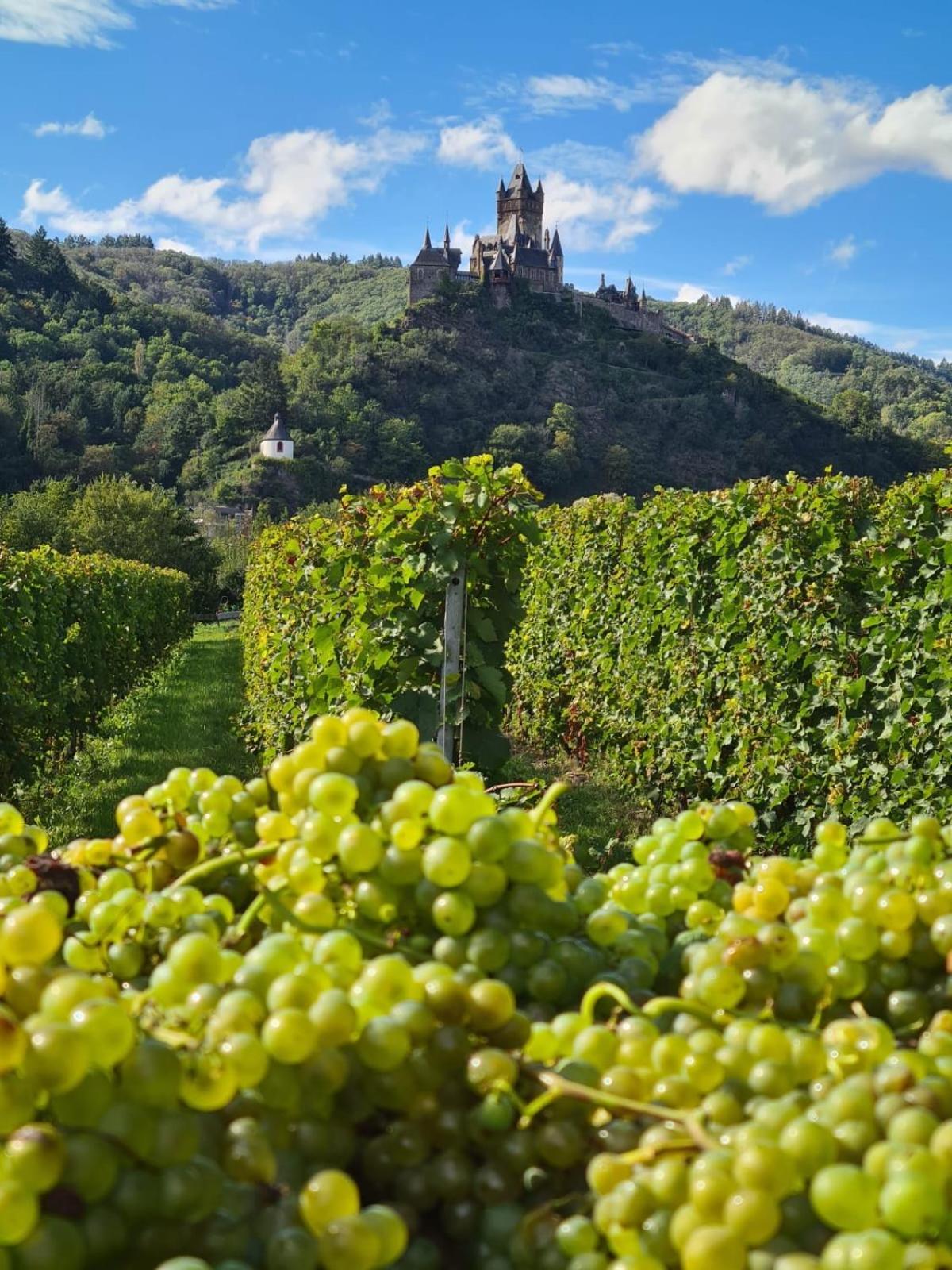 Weingut Gaestehaus Bach Кохем Екстериор снимка
